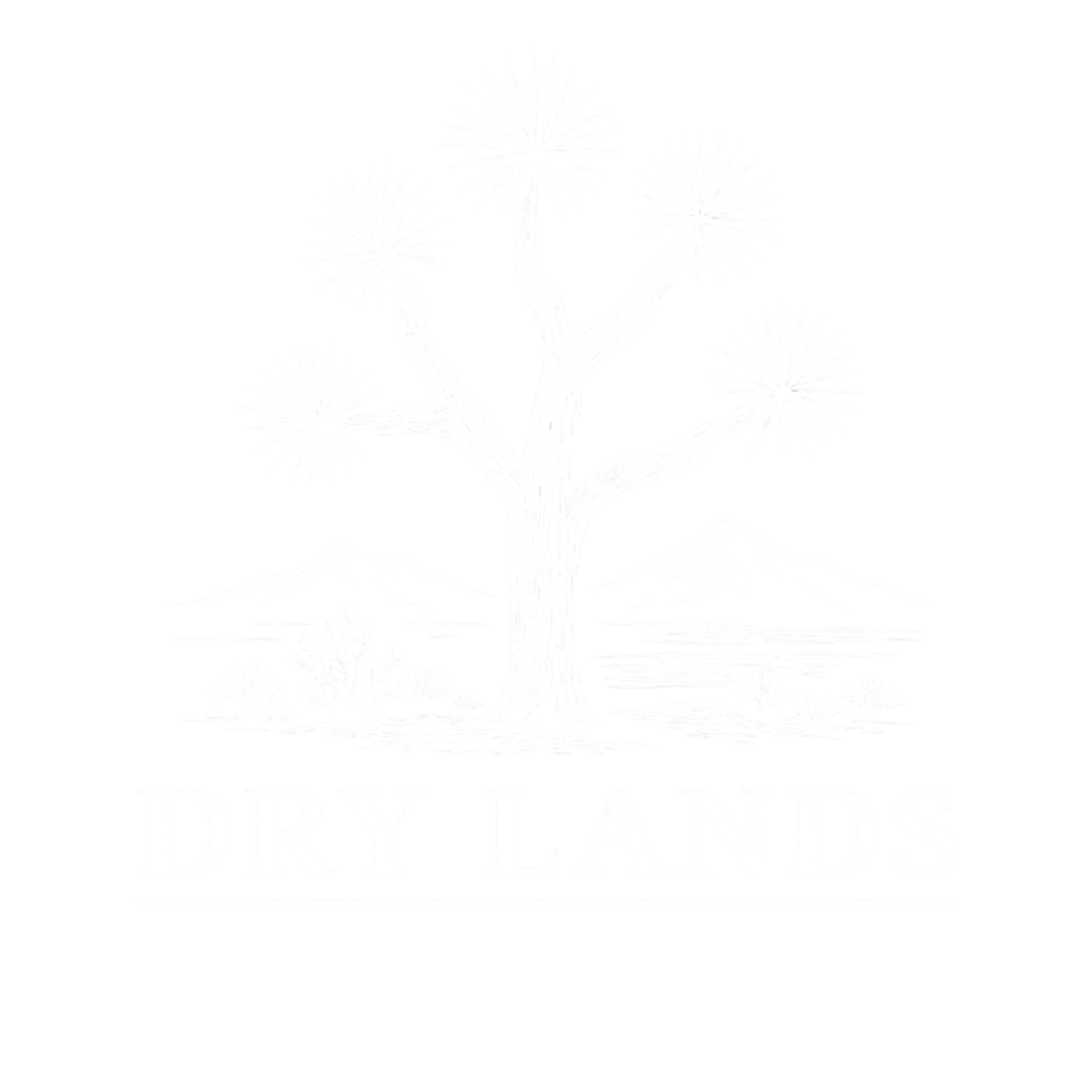 Dry Lands Plumbing & Restoration